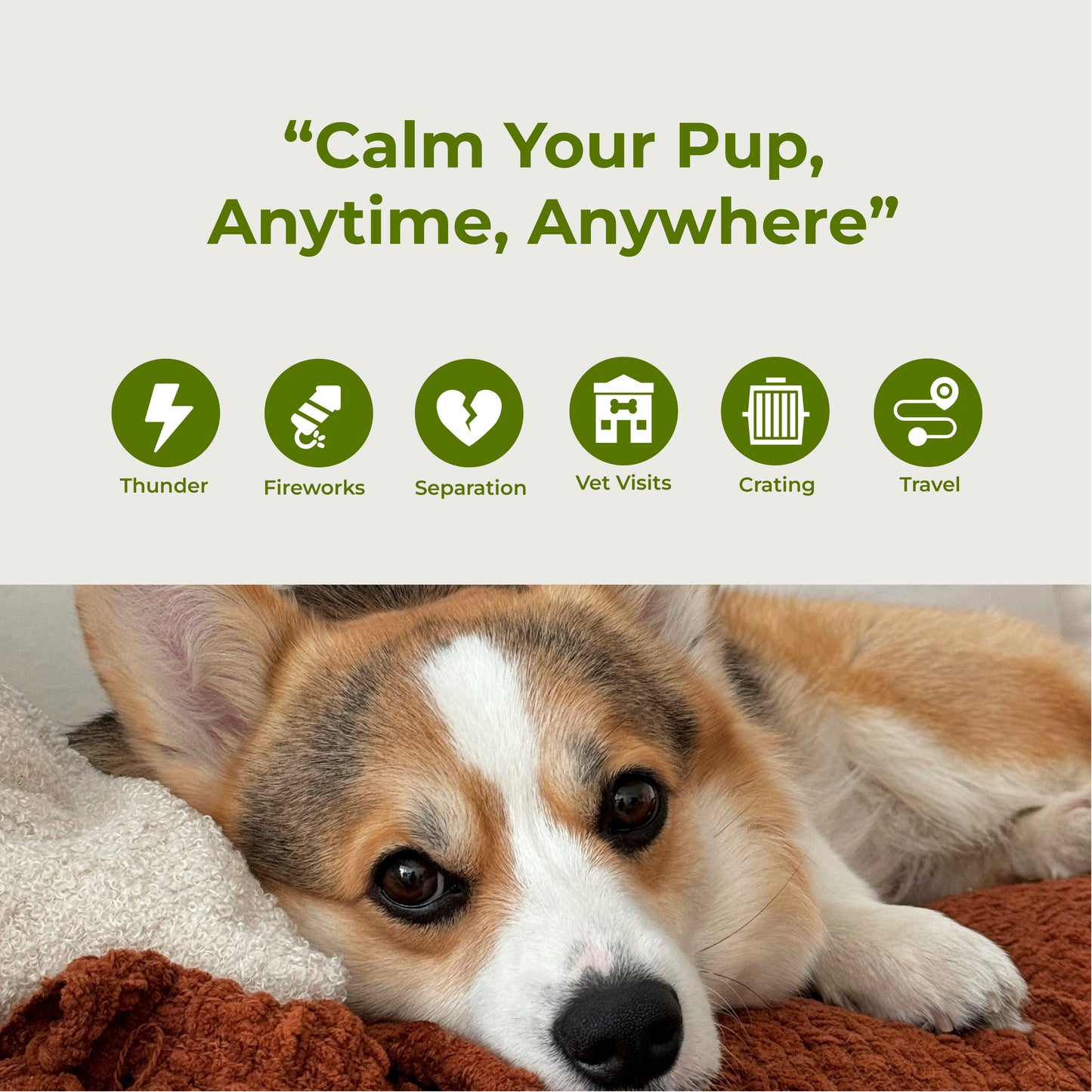 Hemp Calming